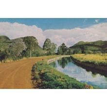 South African Irrigation Canal Transvaal Postcard