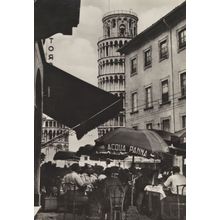 Ristorante Antonietta Piazza Duomo Pisa Italy RPC Postcard