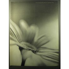 1960 Henri Bendel Fashion Ad - Fashion is flowering in fifty-seventh street