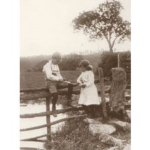Catching Flies Newts at Glaiside Farm Leeds Victorian View 1970s Photo Postcard