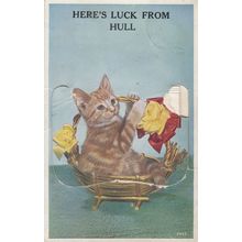 Here's Luck From Hull Cat Mailing Novelty Postcard Please Read