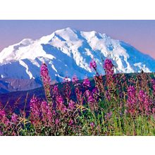 Mount McKinley, Denali National Park, Alaska - 1600x1200 - ID 44300 Poster Canva