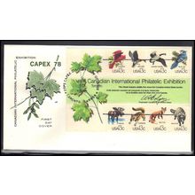 FDC HF 1757 13c Souvenir Sheet (Cachet-U/A) Box0684