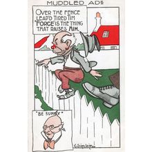 Muddled Advert Over The Fence Nosey Parker Neighbour Comic Old Postcard