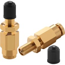 Cheemuii 1/4" Inflation Schrader Valve with Push to Connect for 1/4" OD Air Line