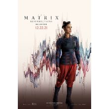 The Matrix Resurrections 10 Poster Canvas Movie Film Print A0 A1 A2 A3 A4 A5 A6