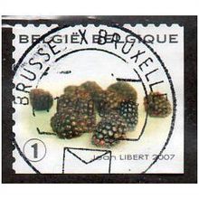 BEL 2007 (52c)(S/A) 'FRUIT- BLACKBERRIES' FINE USED (EBID10440)
