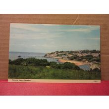 GENERAL VIEW, CLEVEDON, SOMERSET unused postcard by E T W Dennis #