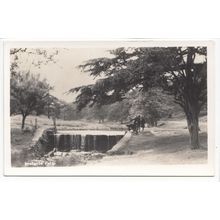 Bradgate Park near Newtown Linford Leicestershire RP Postcard