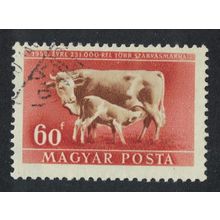 Hungary Cattle Livestock Expansion Plan 1951 Canc SG#1166