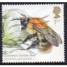 GB 2020 Brilliant Bugs - Common Carder Bee 1st Used