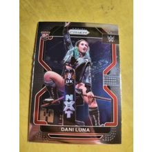 2022 Prizm WWE #110 Dani Luna
