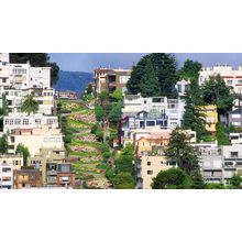 Lombard Street, San Francisco, California Art Gallery Poster Canvas Print Wall D