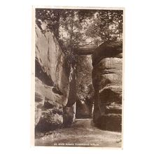 HIGH ROCKS, TUNBRIDGE WELLS, KENT unused vintage postcard RP =