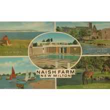 Naish Farm New Milton Hampshire 1970s Postcard