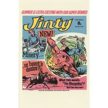 The Changeling Girls Horse Race Story Jinty Comic Book Postcard