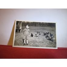 boy with chickens photograph c.1940s =