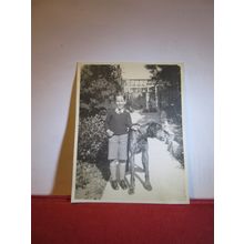 young lad with a great dane dog photograph c.1950s =