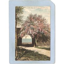 Rhode Island East Greenwich The Arch~349