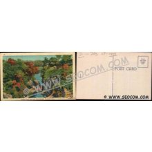 CT Norwich Postcard Indian Leap & Pale Face Maiden ct_box4~2304