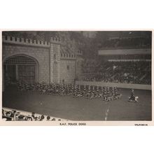 RAF Police Dogs at Queen Elizabeth Procession Rare OldPostcard