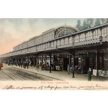 Park Station Johannesburg Traveller Arrives From Cape Town 1906 Postcard