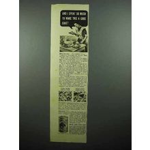 1940 Royal Baking Powder Ad - I Spent So Much