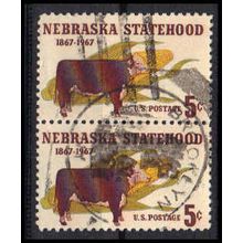 Used 1328 5c Nebraska (2) Brooklyn, NY. E0964