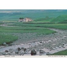 Teesdale Farm Farming Durham Womens Institute Postcard