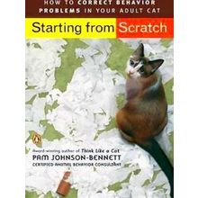Starting From Scratch