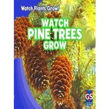 Watch Plants Grow! Watch Pine Trees Grow