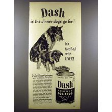 1948 Dash Dog Food Ad - Collie - Dogs Go For!