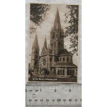 vintage postcard St Fin Barres Cathedral, Cork