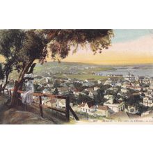 Algiers Algers Entre Les Oliviers Old Postcard