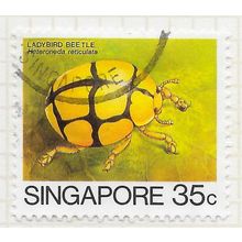 SINGAPORE 1985 INSECTS LADYBIRD BEETLE 30c USED
