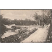 The Martha Brae River and Bridge, Trelawny, Jamaica, c.1920s - Tuck's Postcard