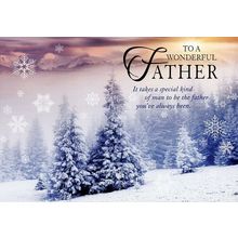 To A Wonderful Father - Christmas Greeting Card - 21309