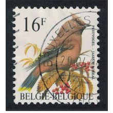 Belgium Bohemian waxwing Bird Buzin 'Jaseur Boreal' 16f 1994 Canc SG#3088a