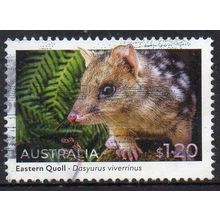 Australia 2022 Native Animals - E. Quoll $1.20 (new post rate Jan 23) Sheet Used