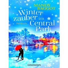 Winterzauber Im Central Park