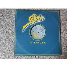 The Isley Brothers ‎– Choosey Lover (TA 3690) 1983 (EP)