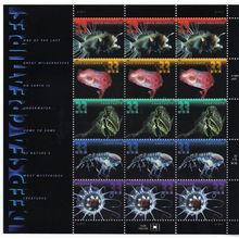 Deep Sea Creatures Complete Sheet of Fifteen 33 Cent Postage Stamps Scott 3439