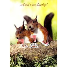 Aren't We Lucky - Tree Free Greeting Card - 17487