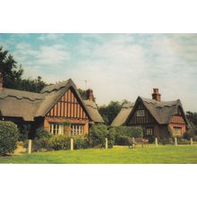 Woodbastwick Village Green Rare Norfolk Postcard