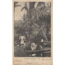 Fiji Native Fijian Picking River Coconuts Antique Postcard