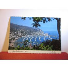 SANTA CATALINA, CALIFORNIA, USA used postcard =