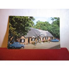 CAT & FIDDLE INN, THE NEW FOREST, unused vintage postcard by John Hinde =