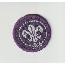 Scout Membership Badge - Non UK?? - Black Back - (BY348)