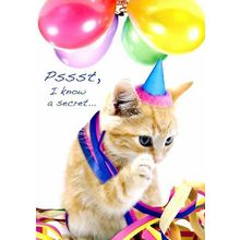Pssst, I Know A Secret - Birthday - Greeting Card - 00750