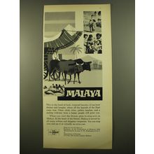 1961 Malaya Tourism Advertisement - This is the land of lush, tropical beauty